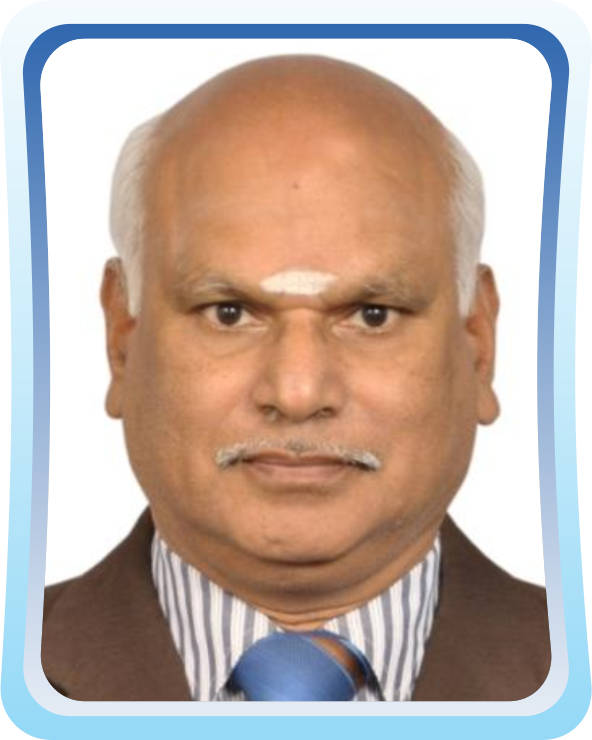 Mr. V Subramanian